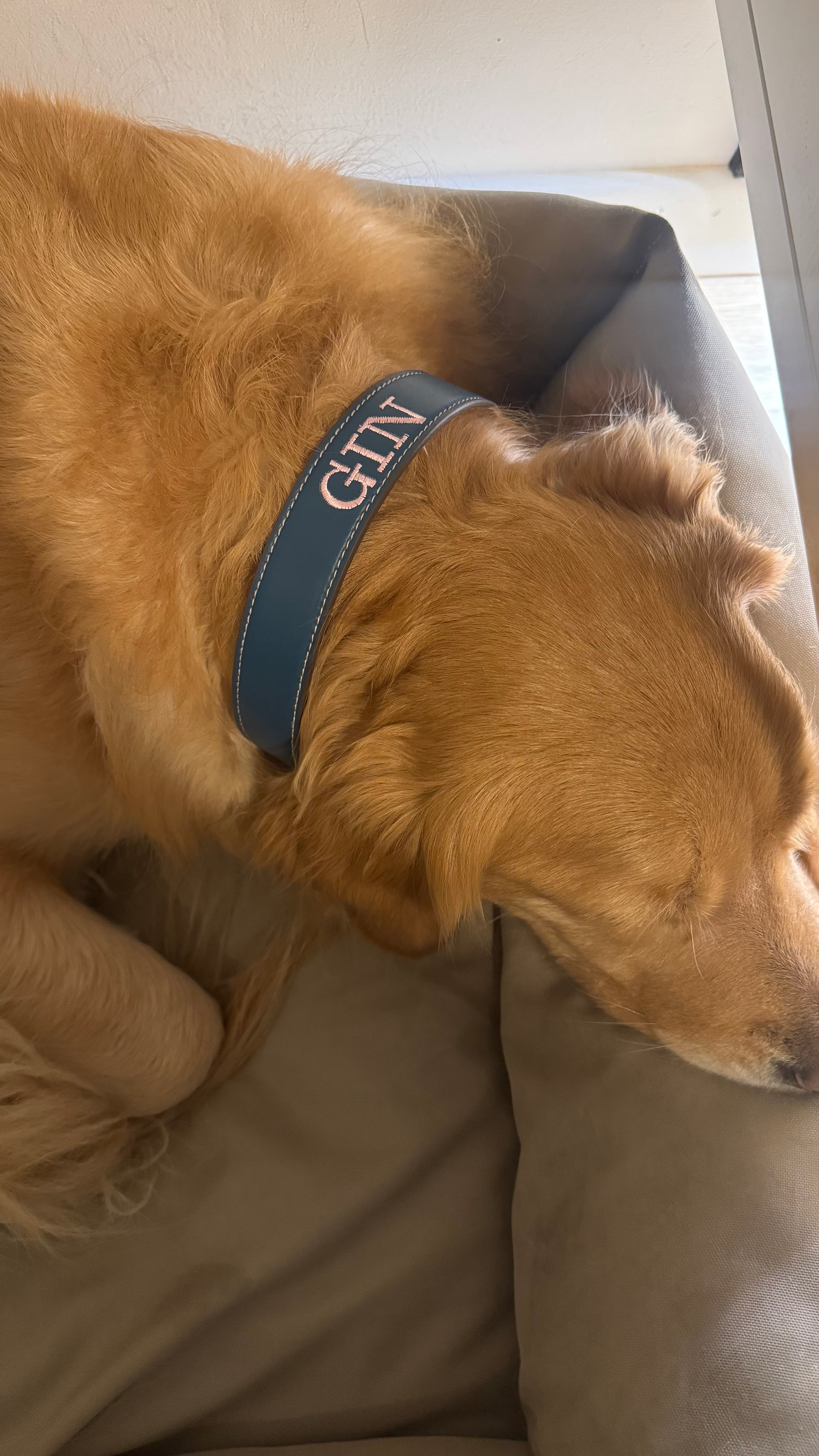 Collare in vera pelle - Personalizzabile