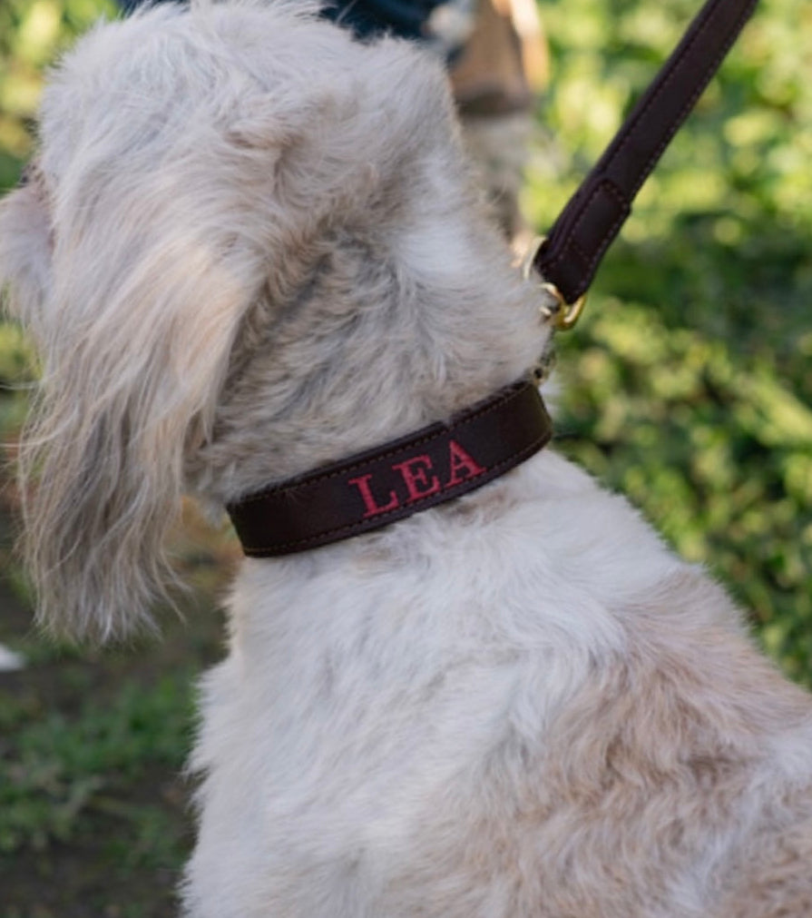 Collare in vera pelle - Personalizzabile
